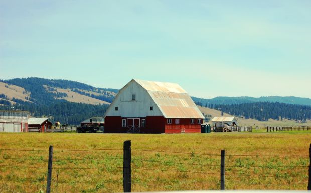 Barn